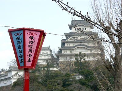 姫路城の桜(つぼみ)